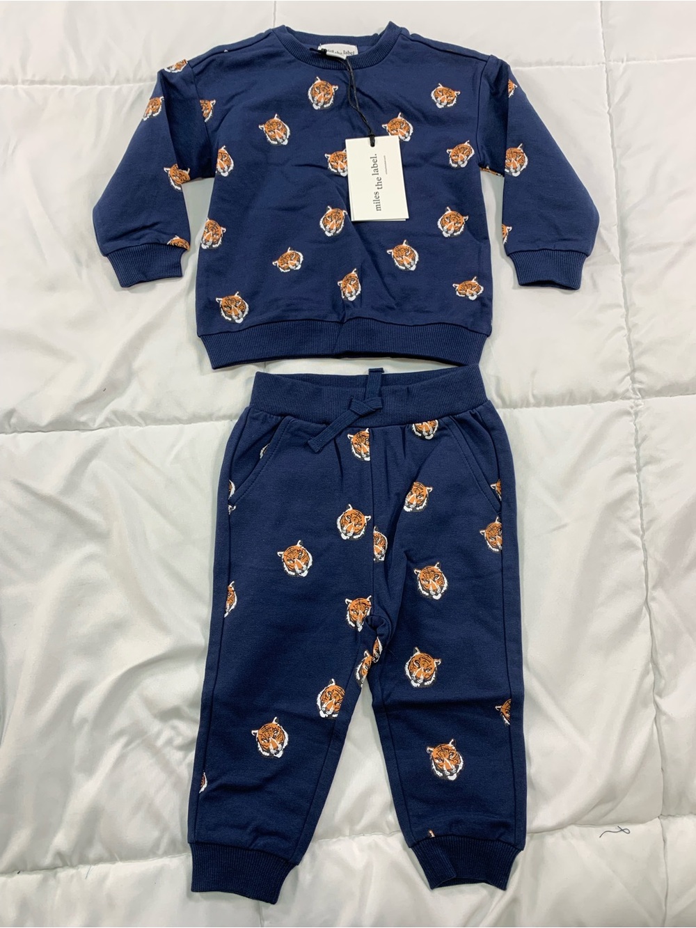 New miles the label sweater and pants size 9M